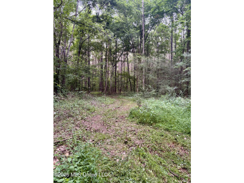 Welcome to your own private recreational retreat on this +/- 24 - photo 32