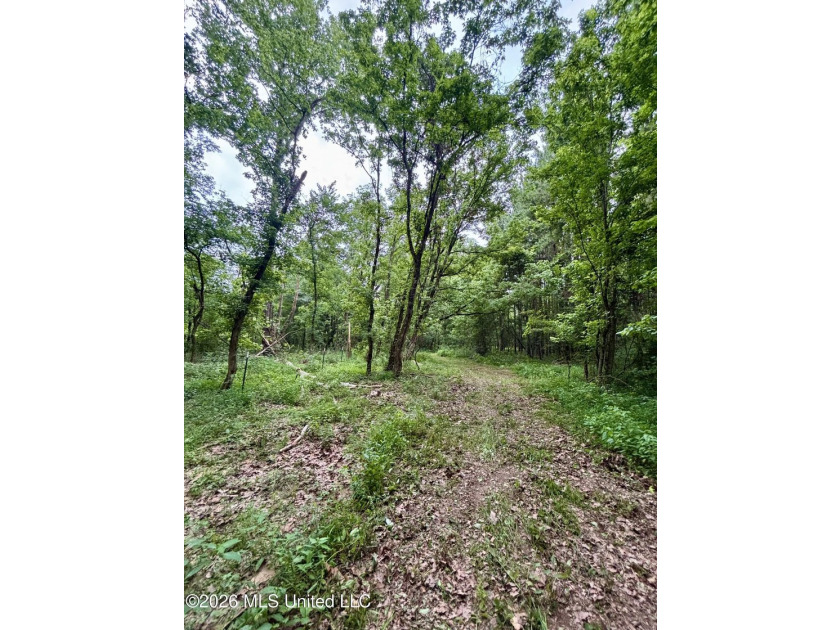 Welcome to your own private recreational retreat on this +/- 24 - photo 33