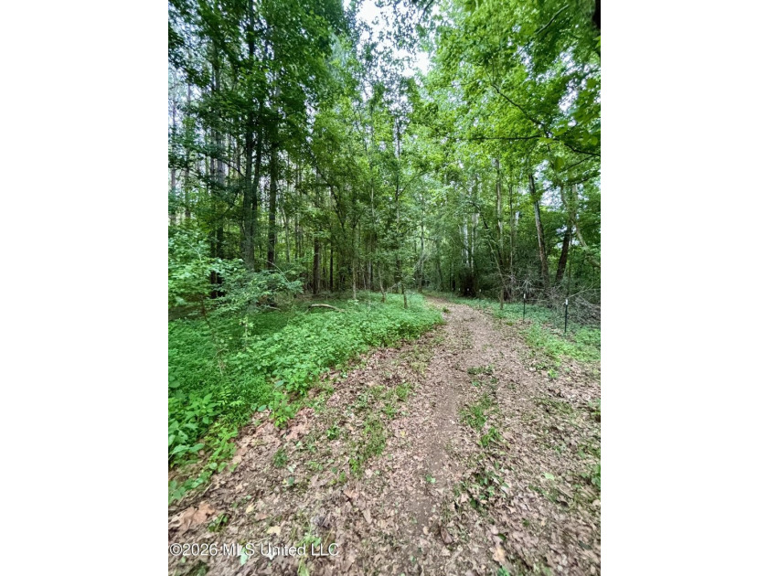 Welcome to your own private recreational retreat on this +/- 24 - photo 34