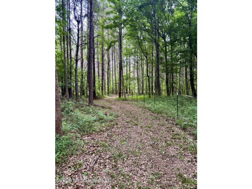 Welcome to your own private recreational retreat on this +/- 24 - photo 35