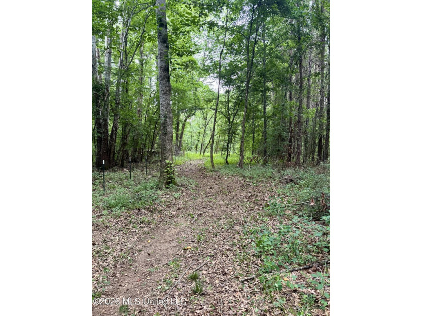 Welcome to your own private recreational retreat on this +/- 24 - photo 36