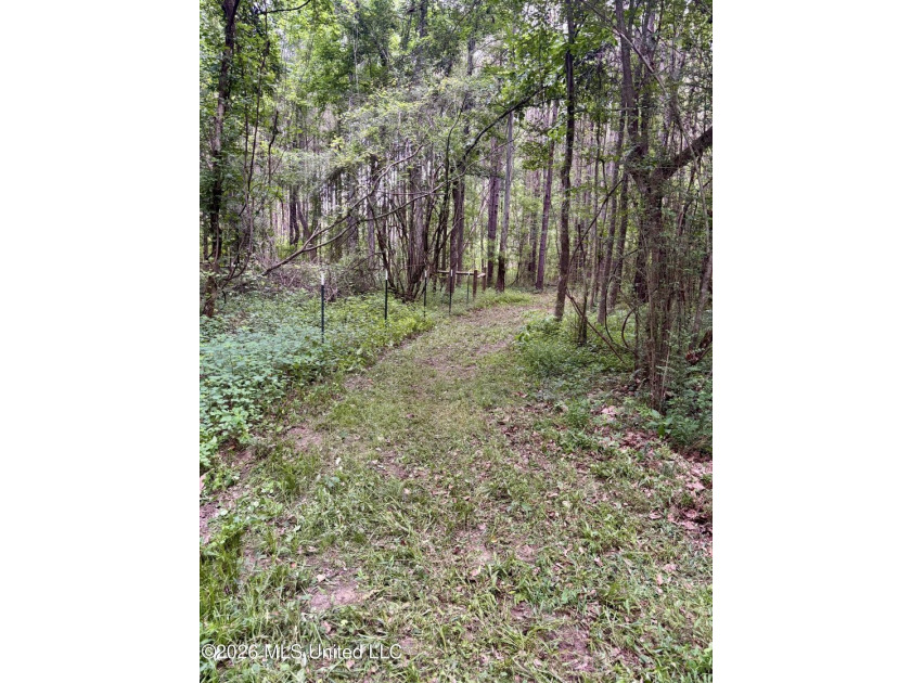 Welcome to your own private recreational retreat on this +/- 24 - photo 37