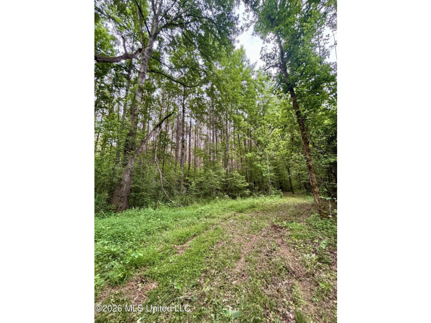 Welcome to your own private recreational retreat on this +/- 24 - photo 44