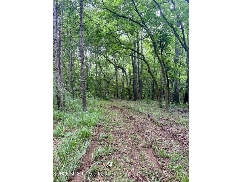 Welcome to your own private recreational retreat on this +/- 24 - photo 45