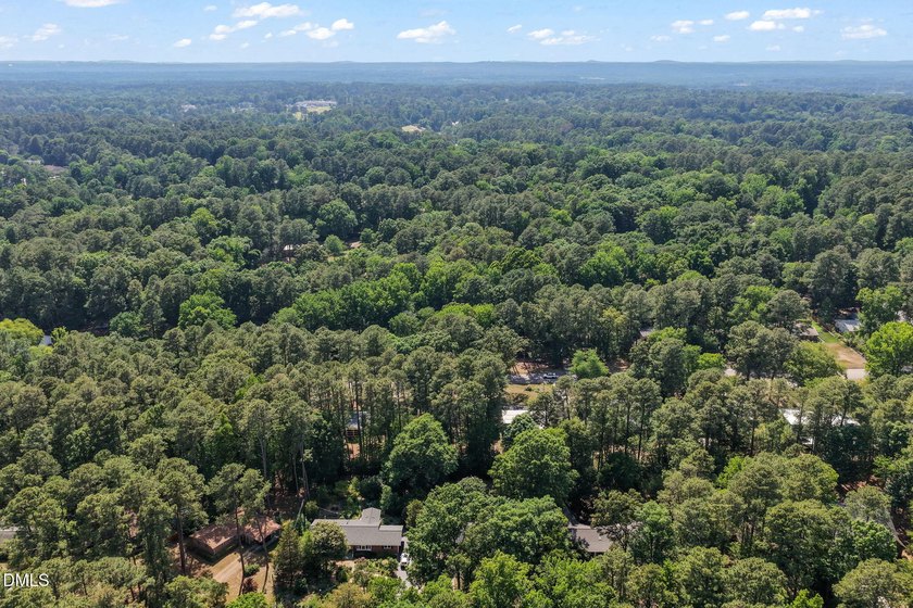 Nestled in the highly sought-after Hope Valley area, this - photo 48
