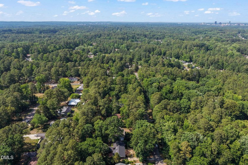 Nestled in the highly sought-after Hope Valley area, this - photo 49