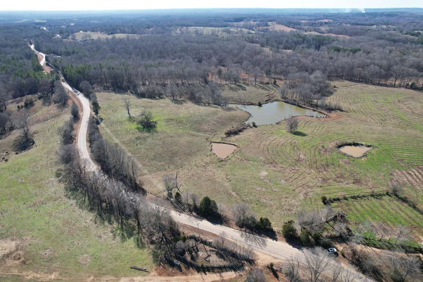 Excellent 13 acre tract on Highway 349 in Potts Camp, MS - photo 3