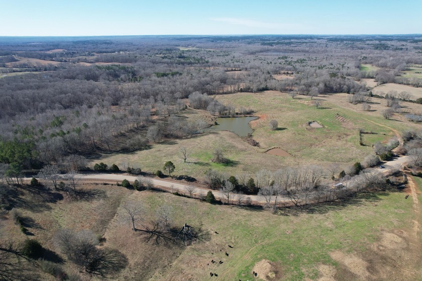 Excellent 13 acre tract on Highway 349 in Potts Camp, MS - photo 5