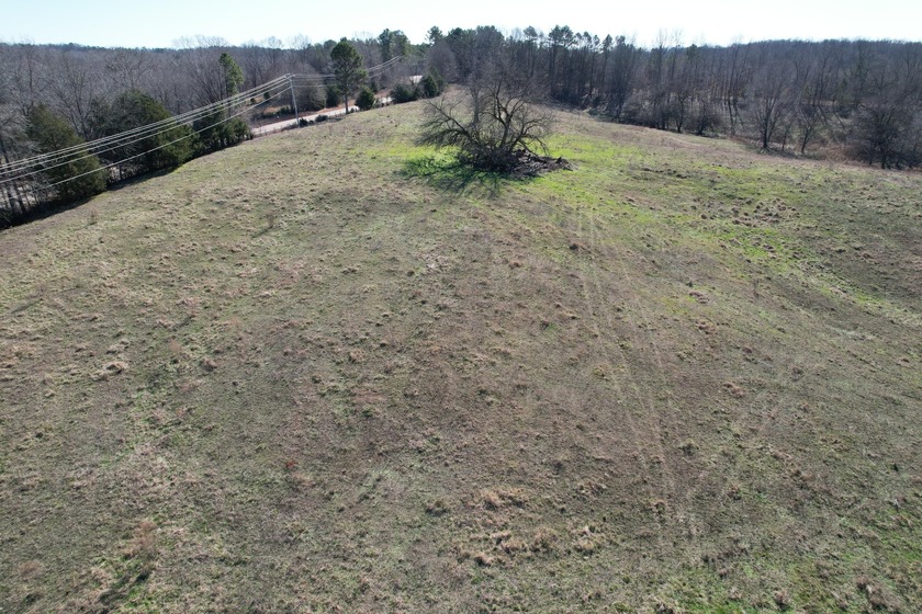 Excellent 13 acre tract on Highway 349 in Potts Camp, MS - photo 9