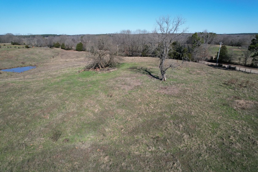 Excellent 13 acre tract on Highway 349 in Potts Camp, MS - photo 10
