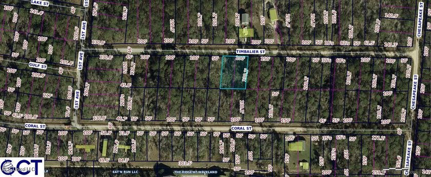 Owner Financing Available! Discover the perfect spot to build - photo 3