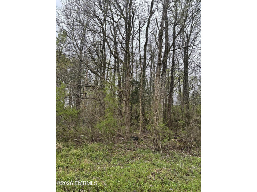 The perfect lot to build a camp or home on overlooking a lake - photo 4