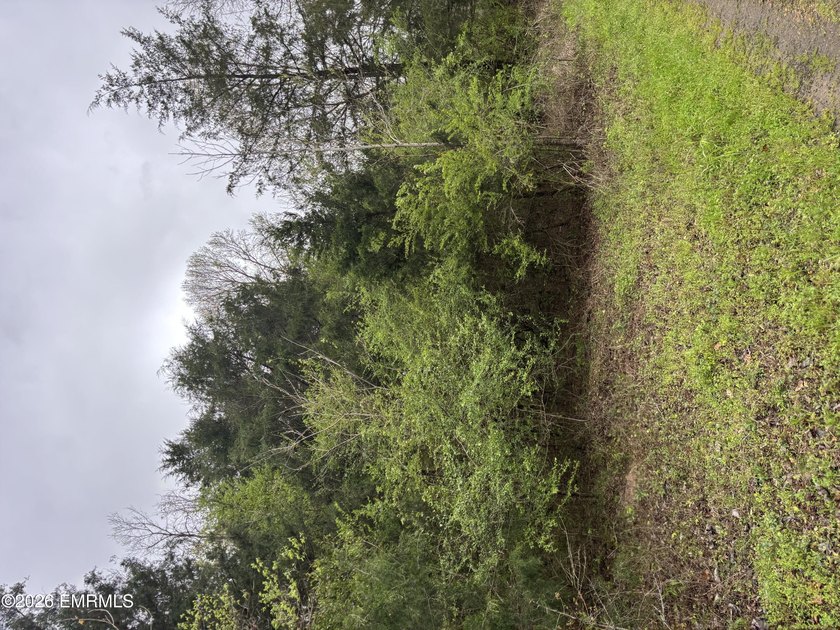 The perfect lot to build a camp or home on overlooking a lake - photo 5