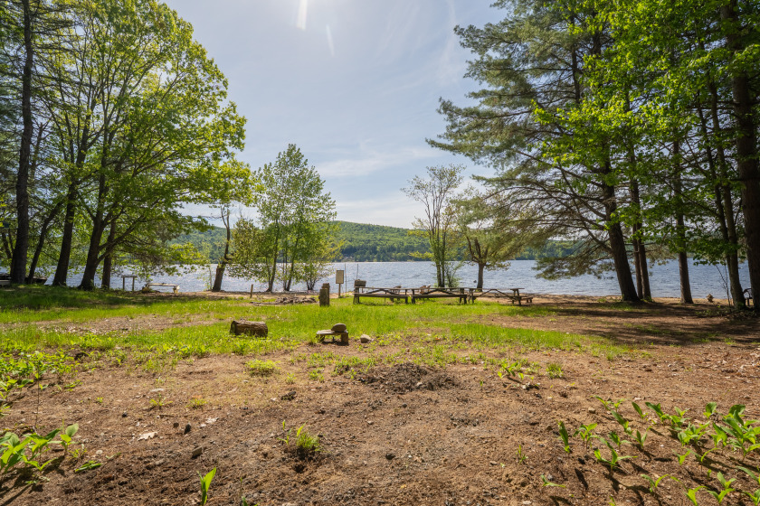 Main House with 6 Cabins &amp; 564' of Lakefront, Mostly Sandy Beach! - photo 26