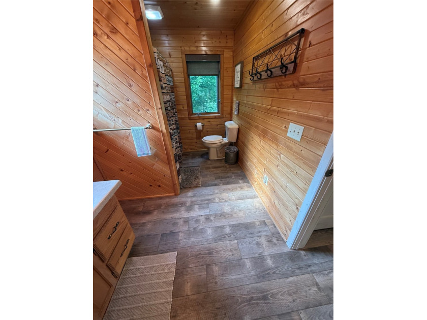 Rare opportunity to own a piece of the pristine Northwoods! This - photo 21