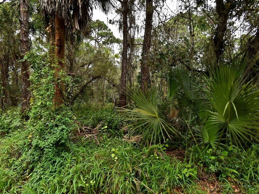 This prime .70 acre parcel is in an established neighborhood - photo 3