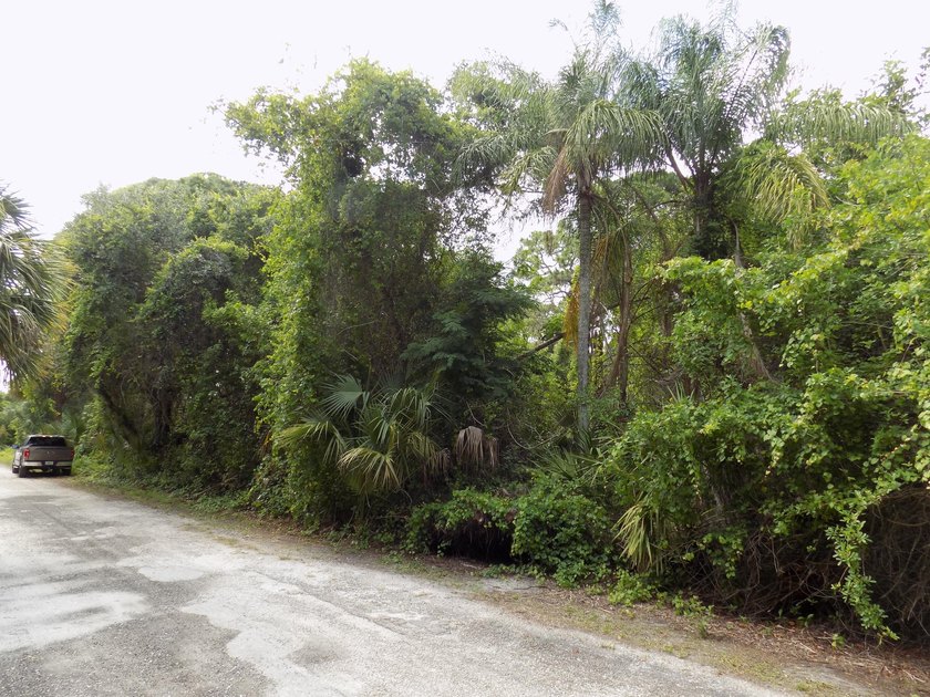 This prime .70 acre parcel is in an established neighborhood - photo 4