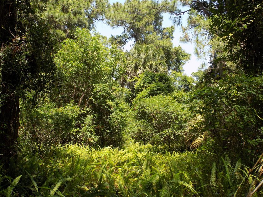 This prime .70 acre parcel is in an established neighborhood - photo 10