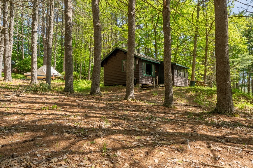 Main House with 6 Cabins &amp; 564' of Lakefront, Mostly Sandy Beach! - photo 15