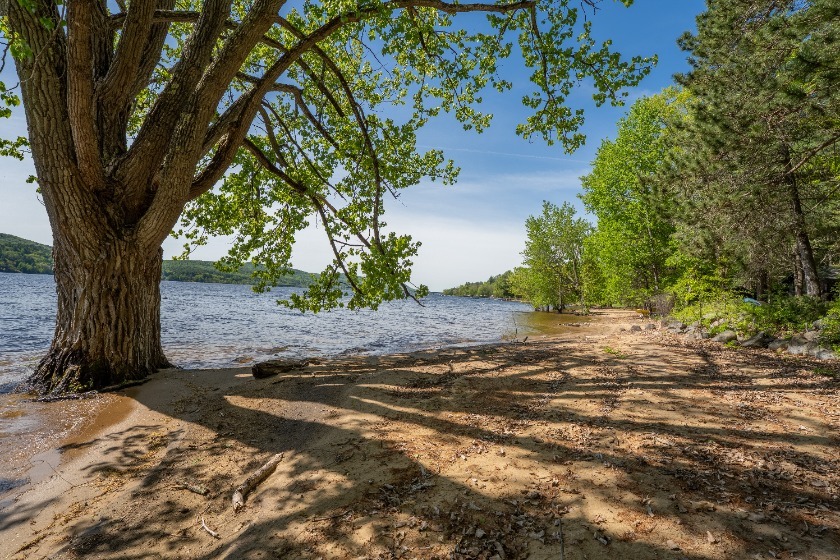 Main House with 6 Cabins &amp; 564' of Lakefront, Mostly Sandy Beach! - photo 27