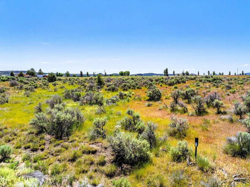 This is a rare lot on the Airstrip in California Pines with - photo 2