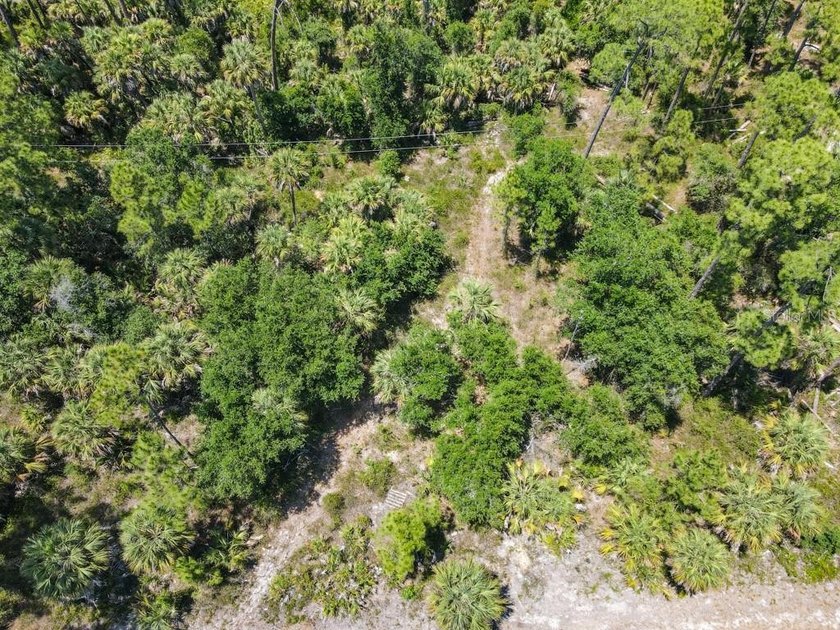 Discover the opportunity to own between 1/4 and 2/3 acre of - photo 4
