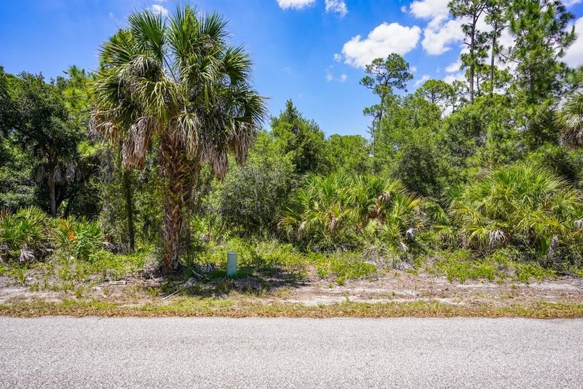 Discover the opportunity to own between 1/4 and 2/3 acre of - photo 10