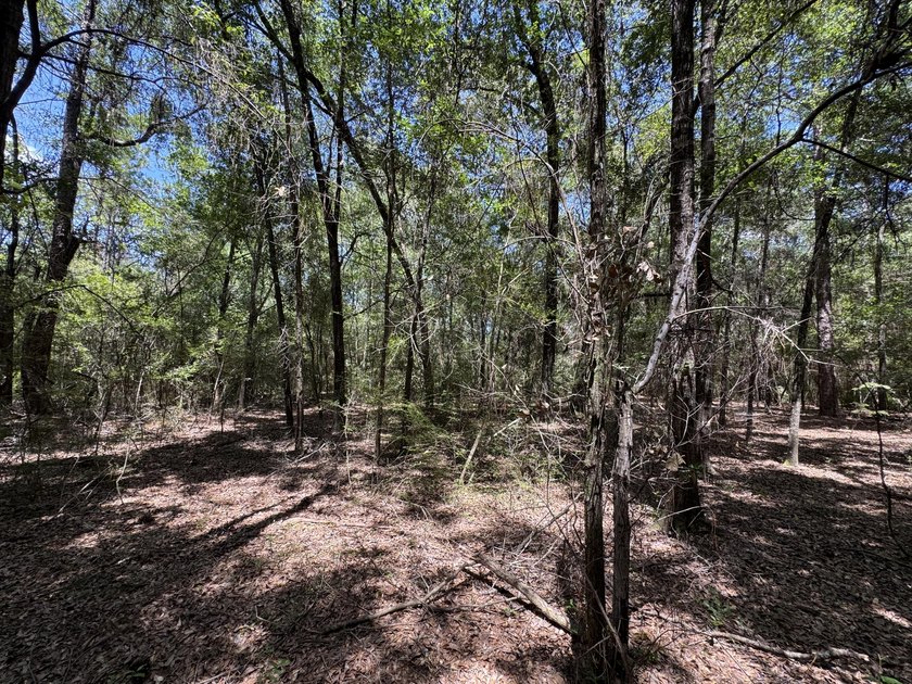 This expansive 3.9-acre parcel in Dogwood Lakes Estates, a - photo 12
