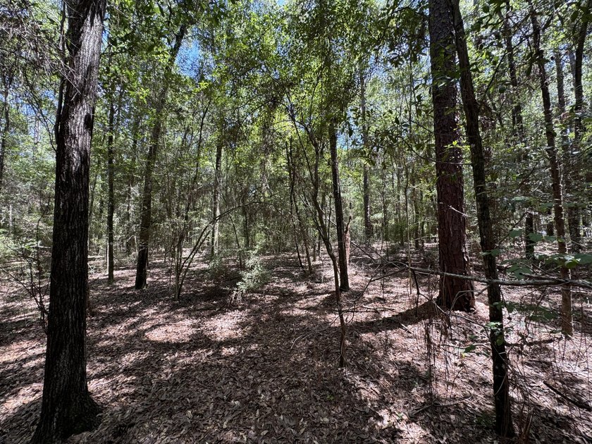 This expansive 3.9-acre parcel in Dogwood Lakes Estates, a - photo 14