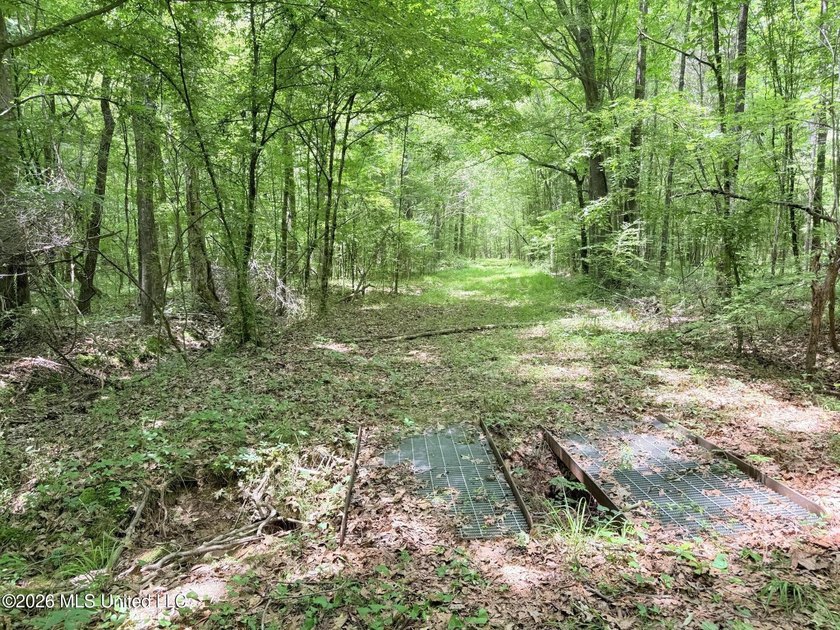 This 164.19 surveyed-acre property on Potluck Road in Canton - photo 19