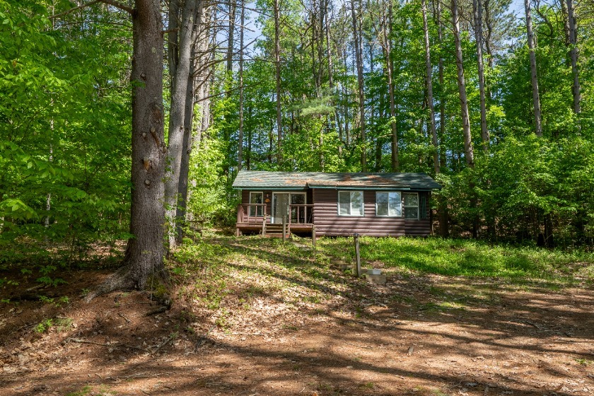 Main House with 6 Cabins &amp; 564' of Lakefront, Mostly Sandy Beach! - photo 16