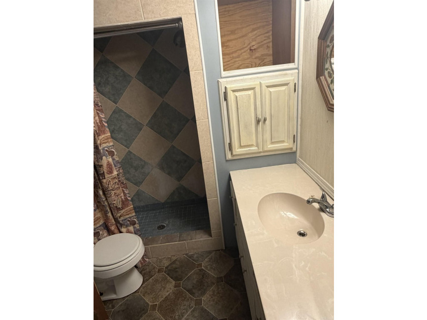 Welcome to the market this 3 bedroom 1.5 bath located on a dead - photo 6