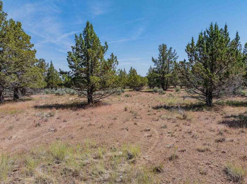 Terms Available ! Very rarely does a lot with water, sewer, and - photo 3