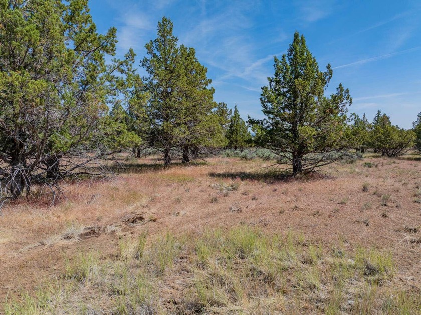 Terms Available ! Very rarely does a lot with water, sewer, and - photo 4