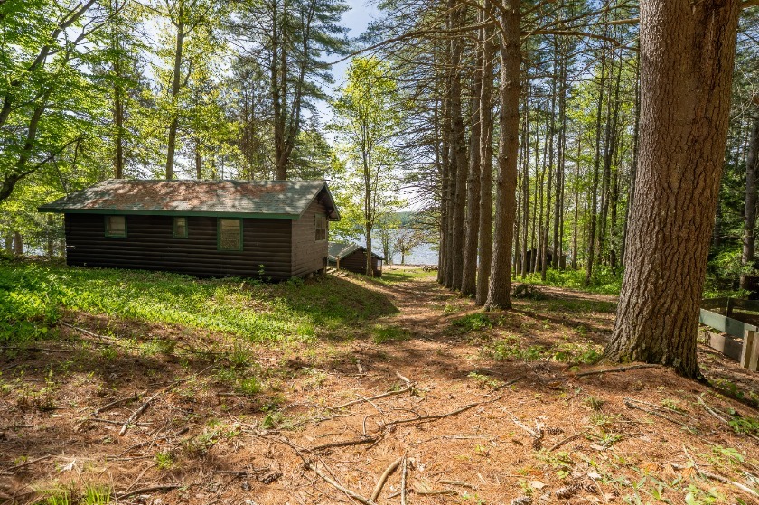Main House with 6 Cabins &amp; 564' of Lakefront, Mostly Sandy Beach! - photo 4