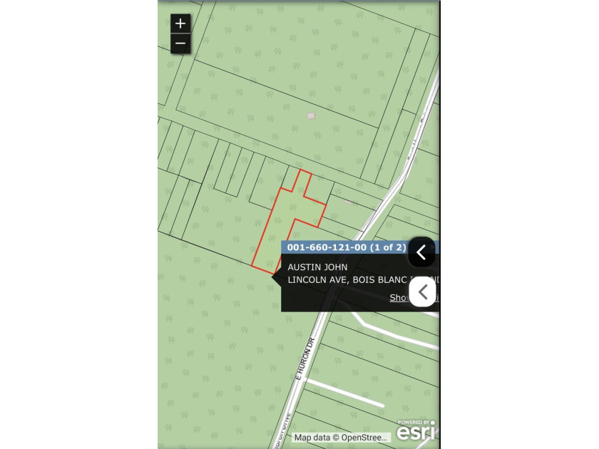 Amazing rolling 1.48 acre lot located on East end of island - photo 3