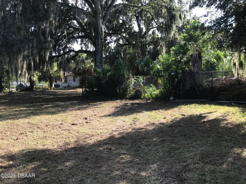 Unique property that can potentially be divided into 2 parcels - photo 6