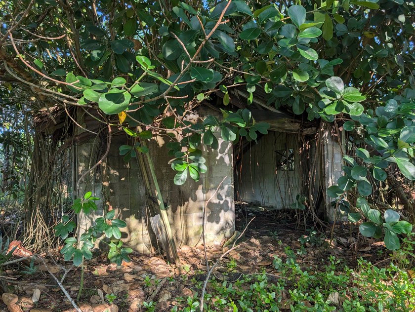 This 1-acre lot includes a cinder-block structure built years - photo 3