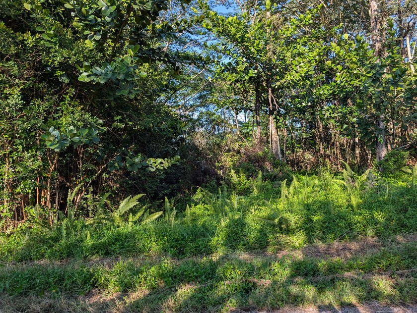 This 1-acre lot includes a cinder-block structure built years - photo 10