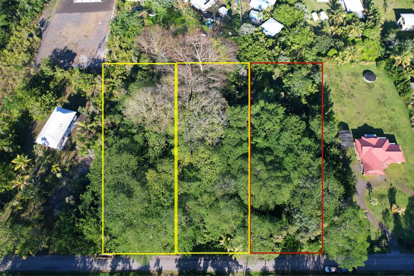 This 1-acre parcel offers a naturally forested setting with - photo 2