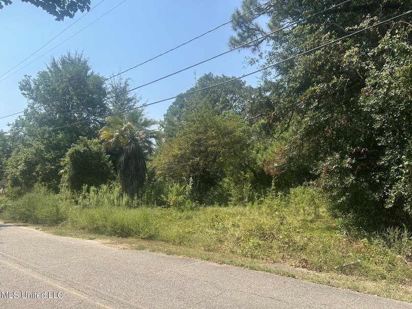 Versatile 0.54-acre lot offers endless potential- zoned for - photo 3