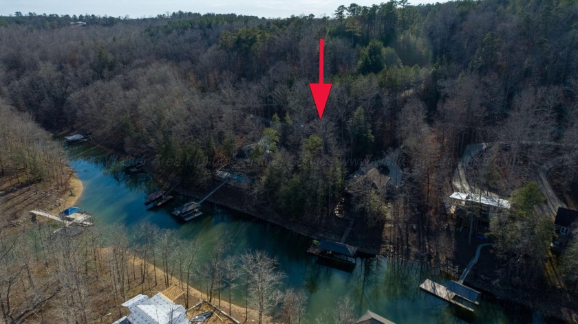 Wooded Lake Lot, Deep Water, Brushy - photo 3