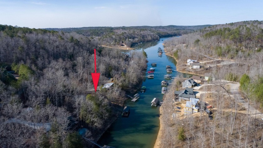 Wooded Lake Lot, Deep Water, Brushy - photo 4