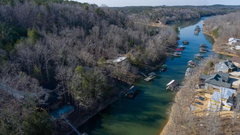 Wooded Lake Lot, Deep Water, Brushy - photo 6