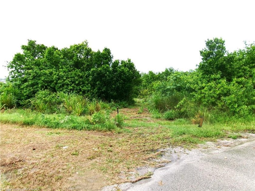 2 lots together zone mobile home or for a single-family home - photo 2