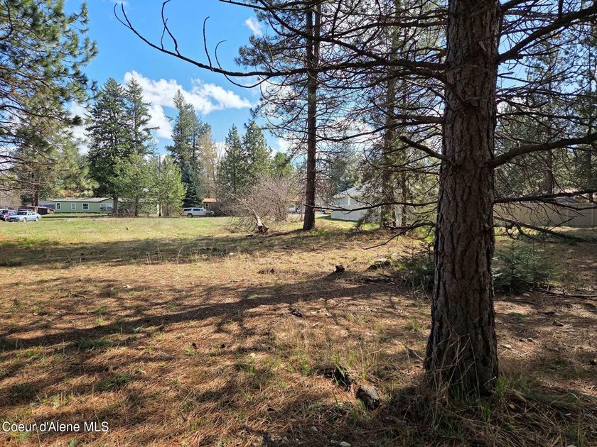 Seven adjoining city lots for a total of 1.13 acres in the - photo 12