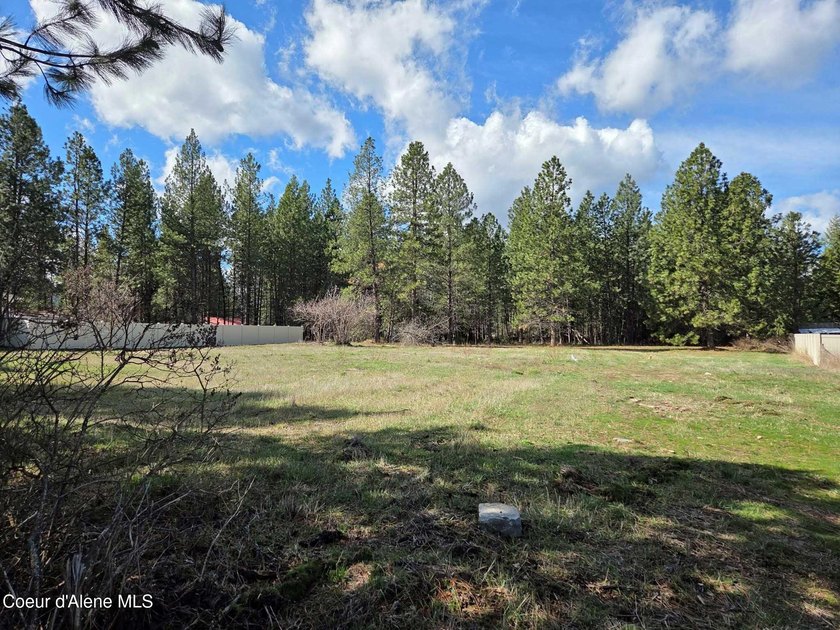 Seven adjoining city lots for a total of 1.13 acres in the - photo 13