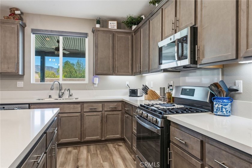 29271 Date Palm - photo 11