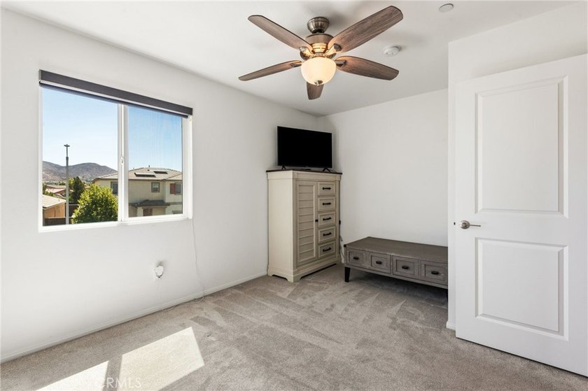 29271 Date Palm - photo 21