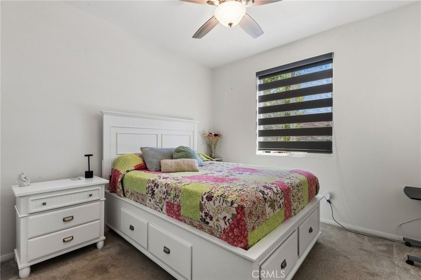 29271 Date Palm - photo 23